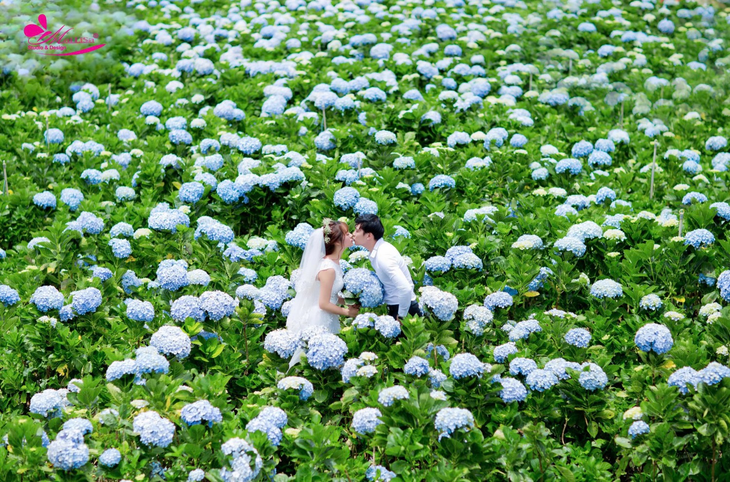 Album ảnh cưới đẹp